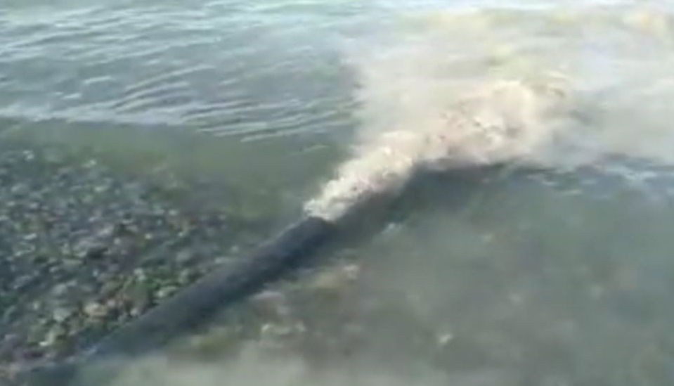 Алакөлдегі лас су: Казгидромет су сапасын тексерді