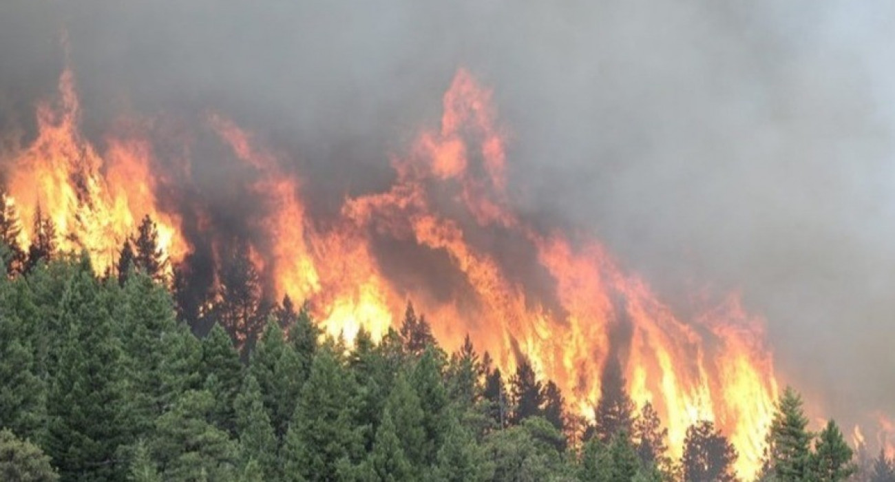 Порно колготкидегі апайлар