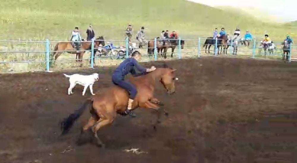 Асауды ауыздықтаған Абылай