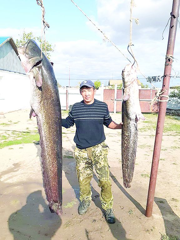 Жайынов тағы жайын ұстады