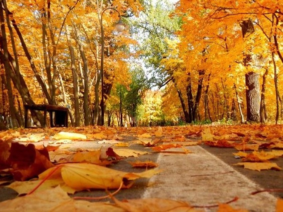 Смотреть онлайн, бірінші рет жыныстық қатынасқа түсуге көндірді
