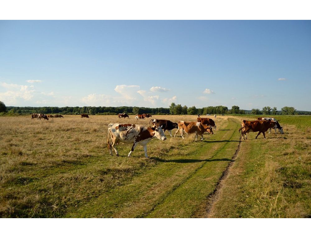 Бірлік берекеге бастайды