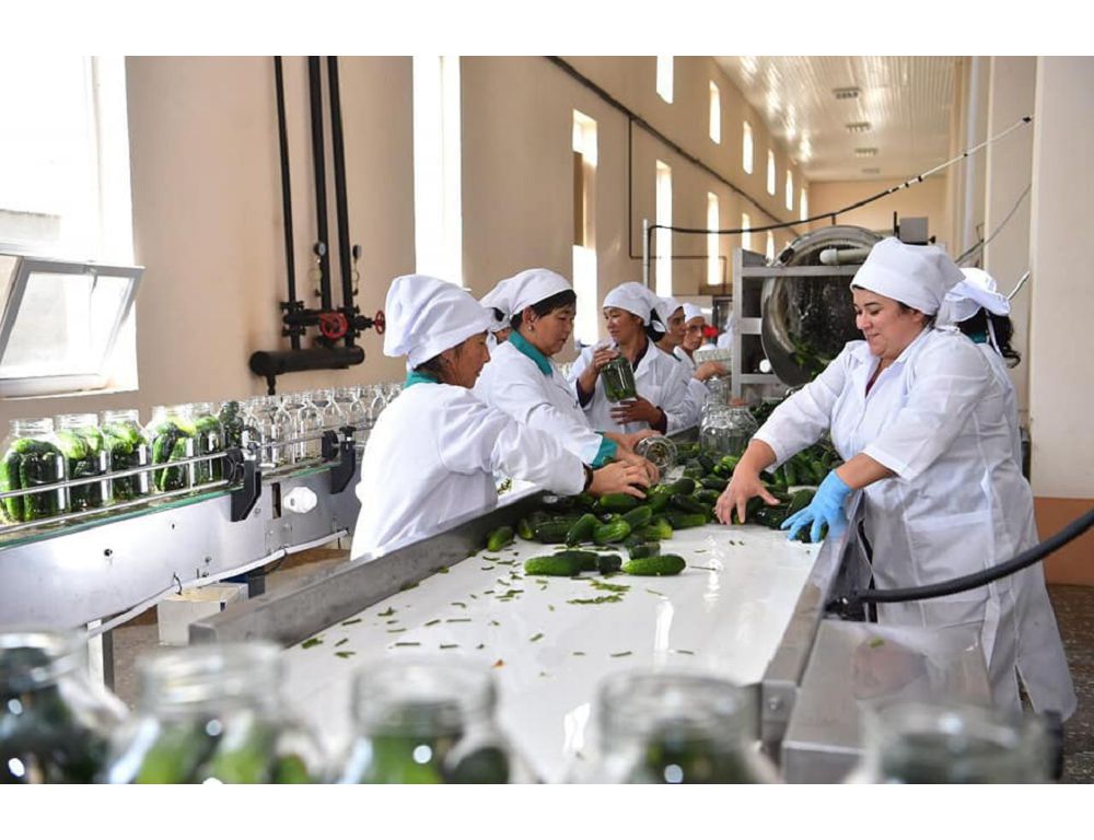 Қала іргесі азық-түлік белдеуіне айналады