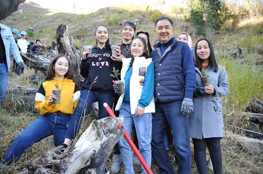 Болай тауының баурайына Шренка шыршасының 50 мың түп көшеті отырғызылды