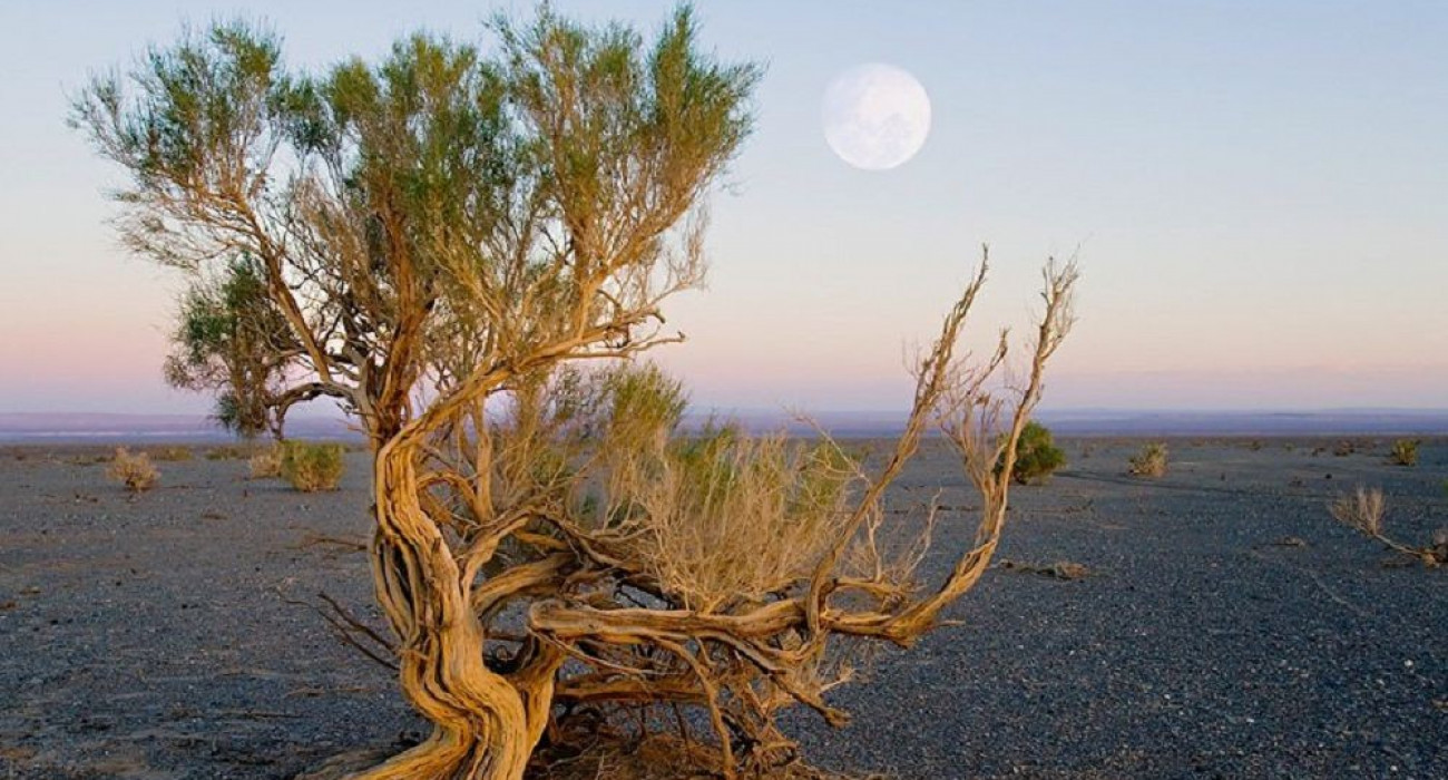 Эротикалық жастық фото