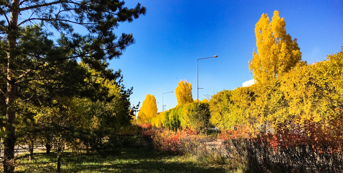 Күз (фоторепортаж)