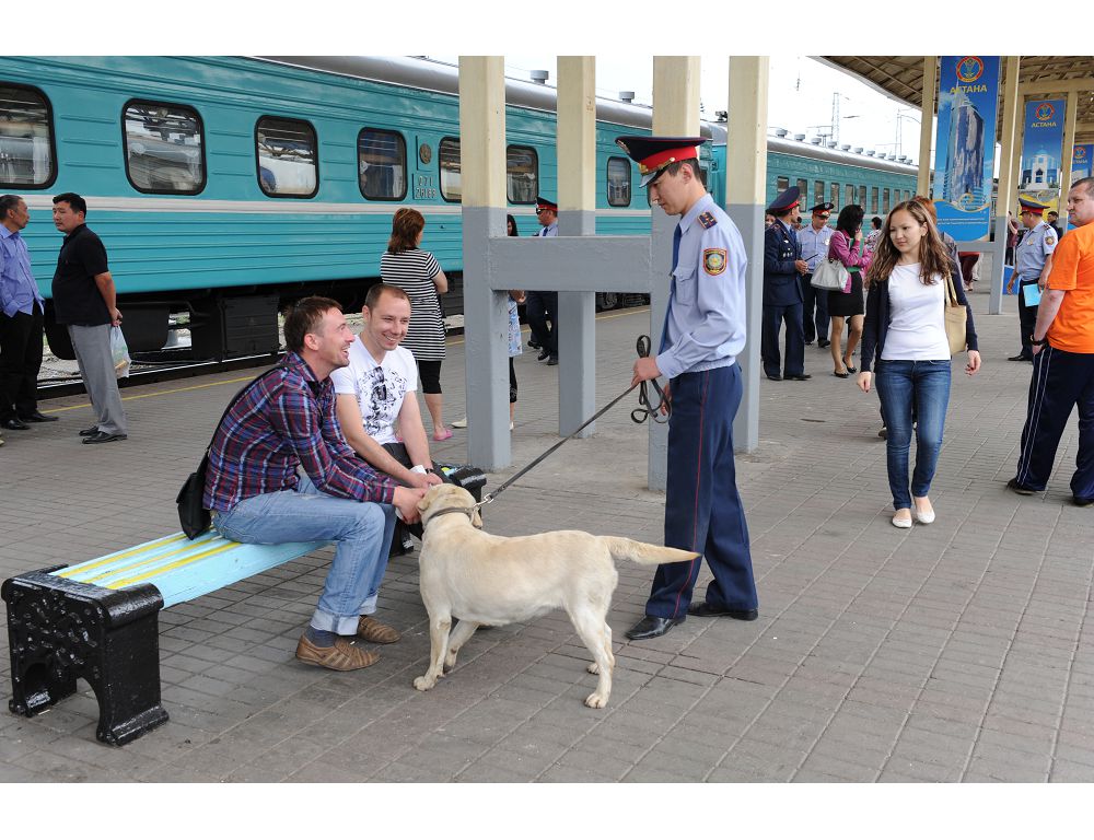 Үш қап алтын тамыр