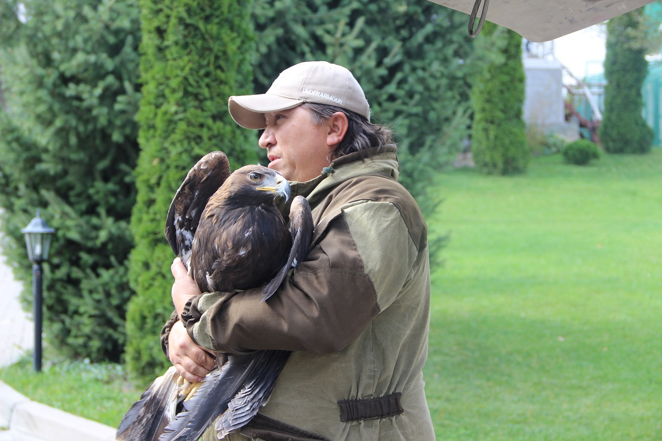 Алматыдағы «Сұңқар» тәлімбағы бүркіттің балапандарын босатты