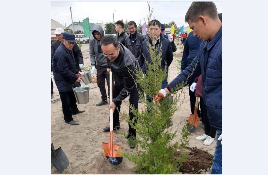 Жамбылда ағаш көшеттері отырғызылды