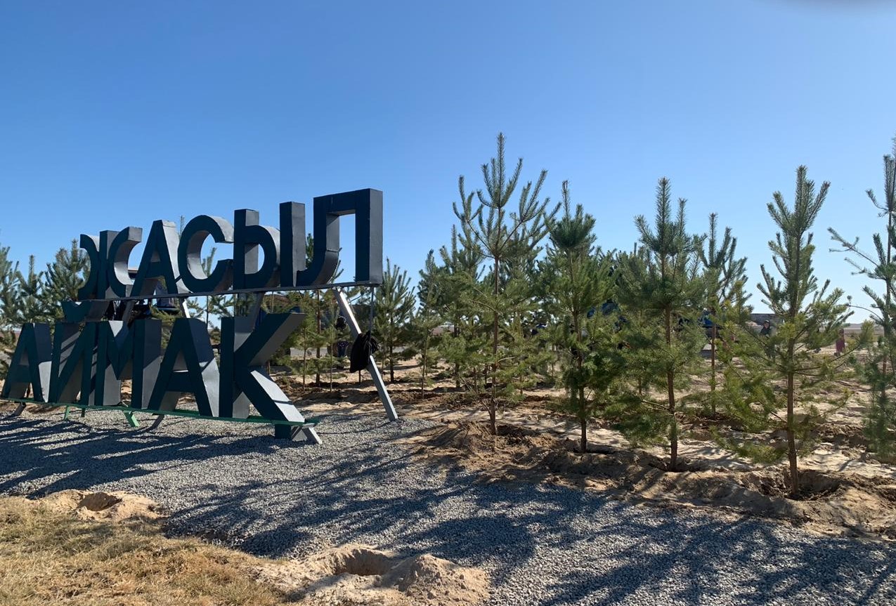 Түркістан облысында 1304,9 млн көшет отырғызылады