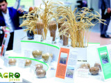 Нұр-Сұлтанда «KazAgro 2019» халықаралық көрмелері өтуде