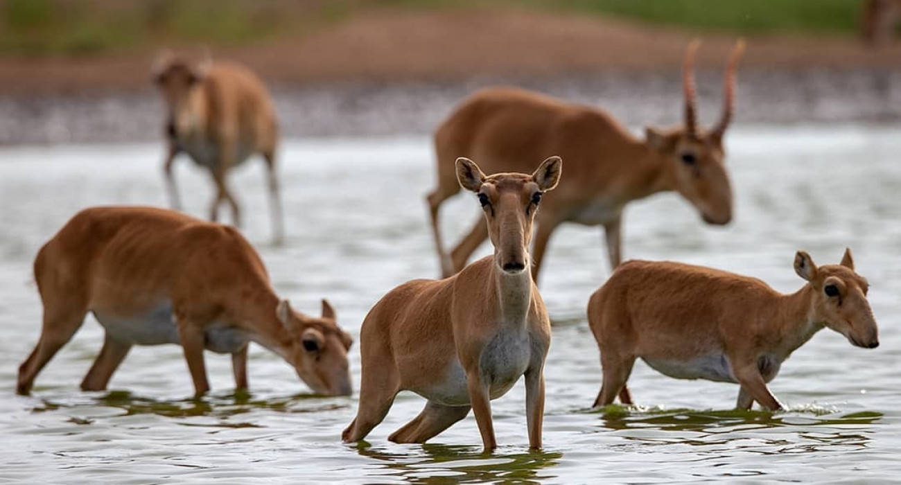 Порно эротикалық фильмдер онлайн