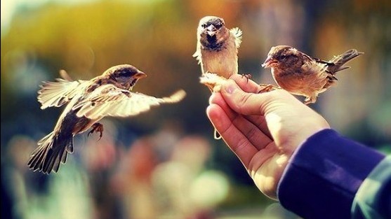 Жақсылық жасауда ысырап жоқ, ысырапта жақсылық жоқ