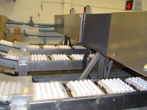 Солтүстік Қазақстанда 75 мың шөжеге арналған жаңа корпус іске қосылды