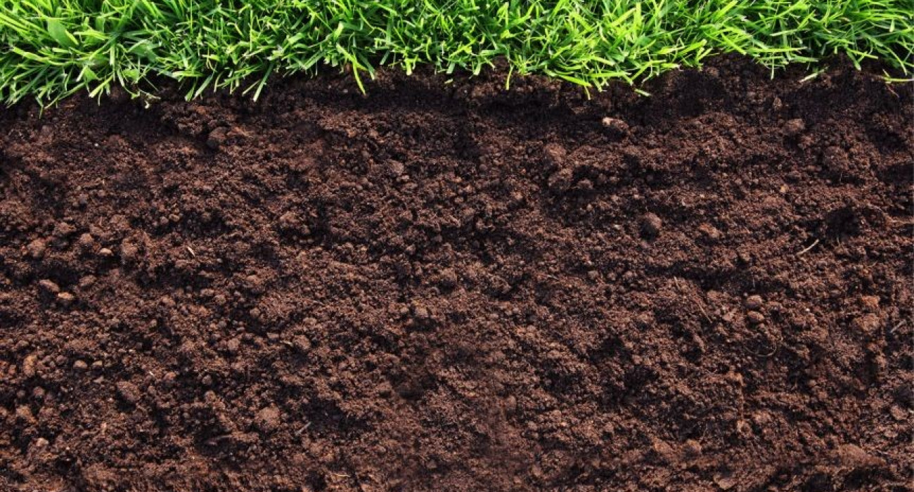 Периналық жыртықтың фотосы Периналық жыртықтың фотосы