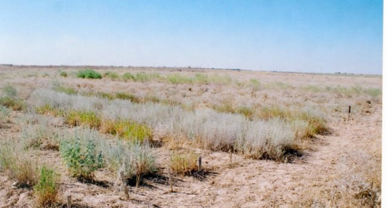Сильвия Сент барлық порно Жастар бөтеннің әйелін сиқырлайды