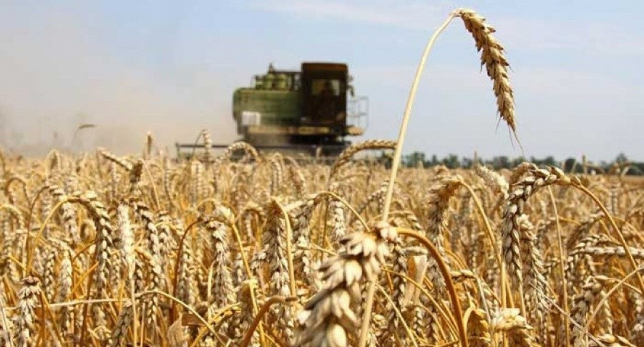 Юлияны кім ұрып жатыр?