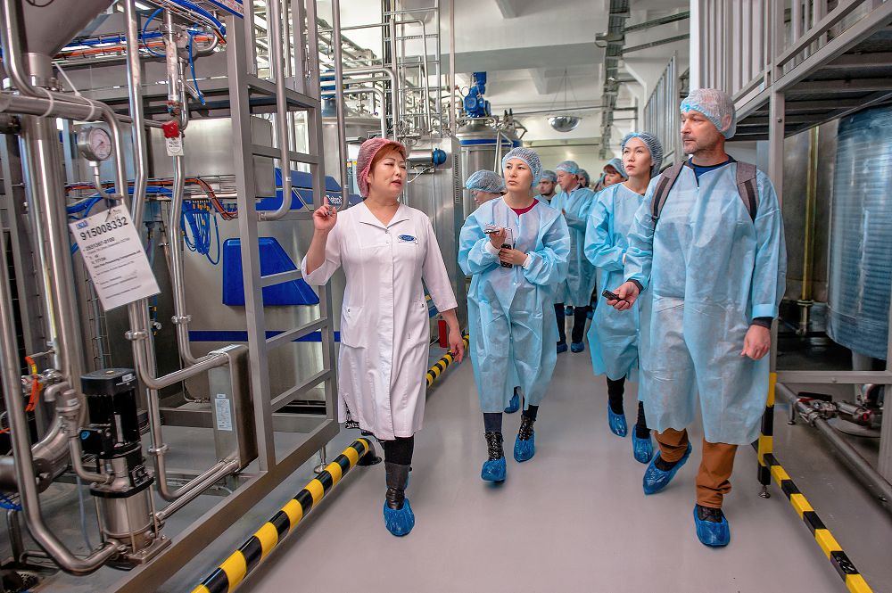 Қазақстанда бие сүті қосылған майонез шығарыла бастады