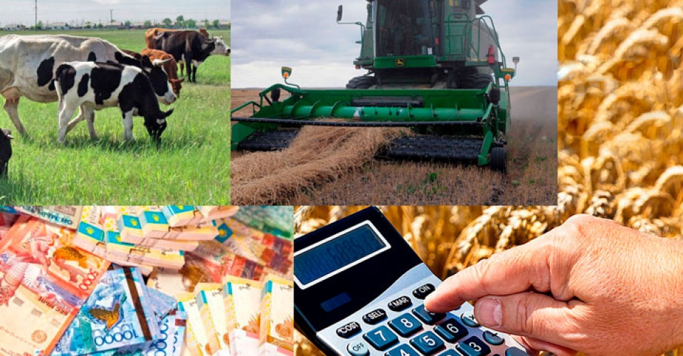 Субсидияның жаңа талаптары