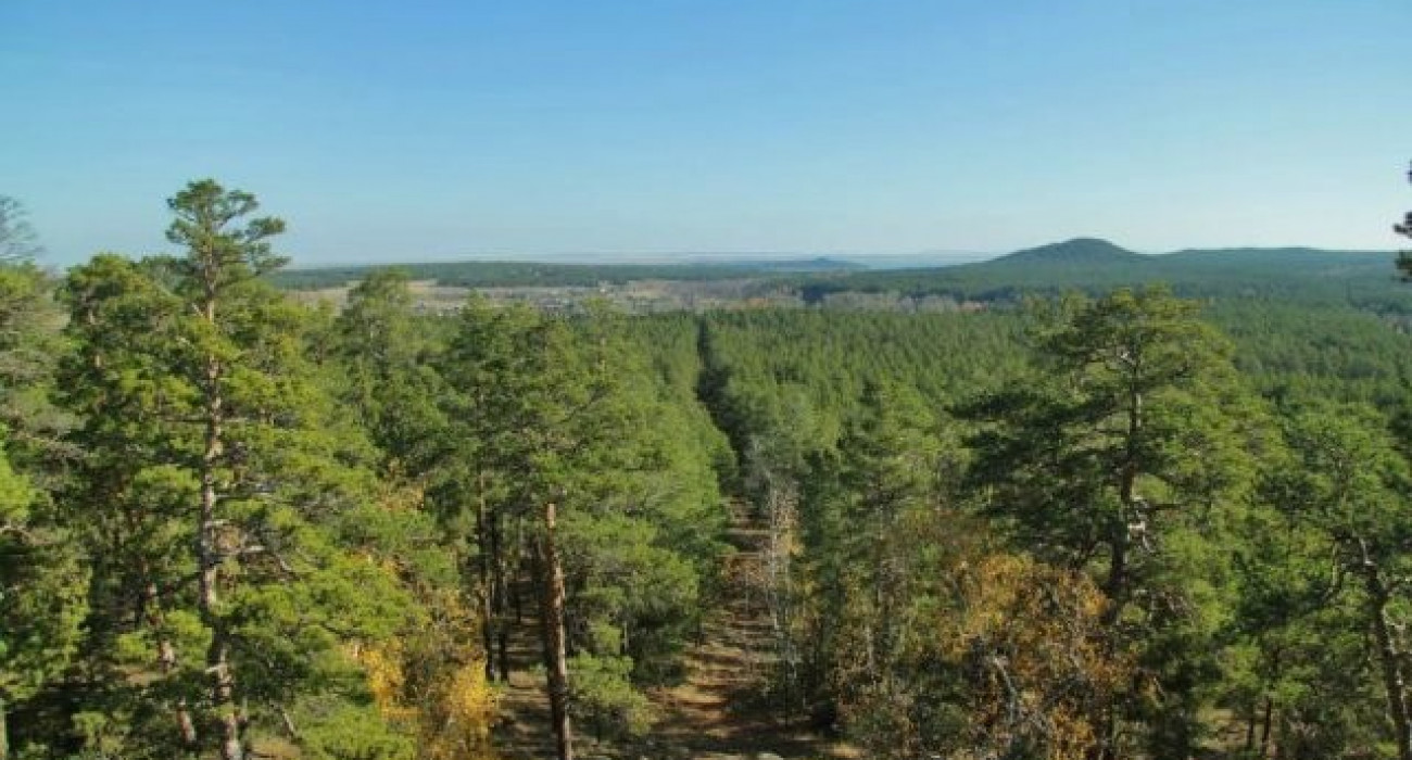 Үйде жасалынған Русское порно Эротикалық секс тон шұлықтары