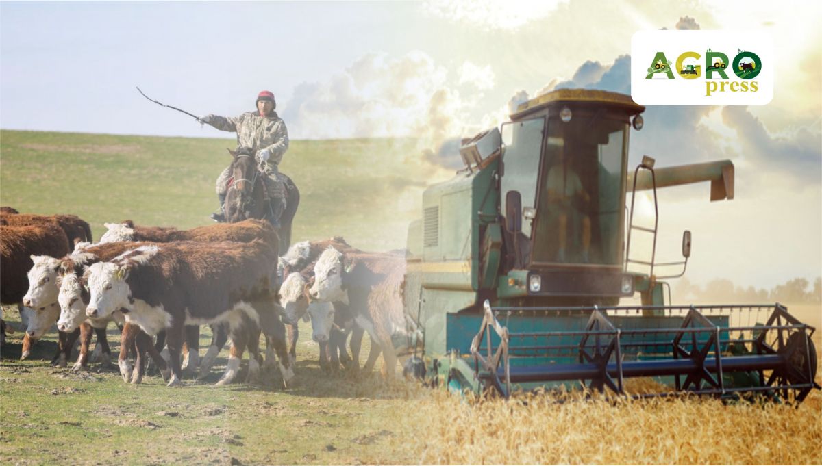 Ауыл шаруашылық саласында миллионнан астам адам жұмыспен қамтылған - АШМ