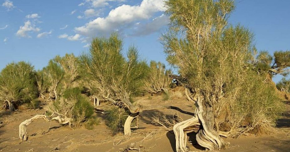 Киевте жыныстық қатынас үшін танысу