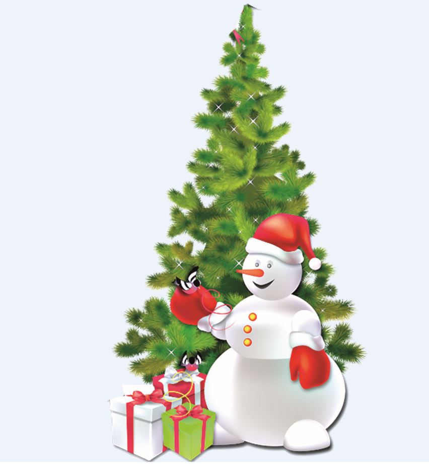 Шырша жанындағы жымиыс