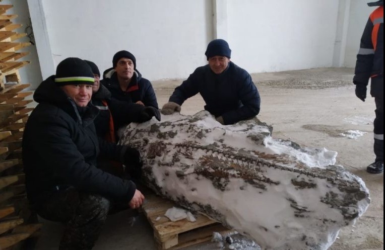 Кайнозойдан жеткен балық