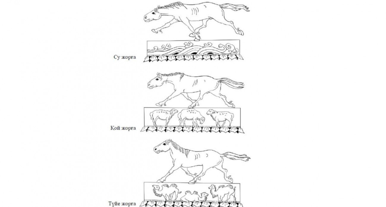 Төрт аяқтың артқы жағындағы жыныстық позициялар