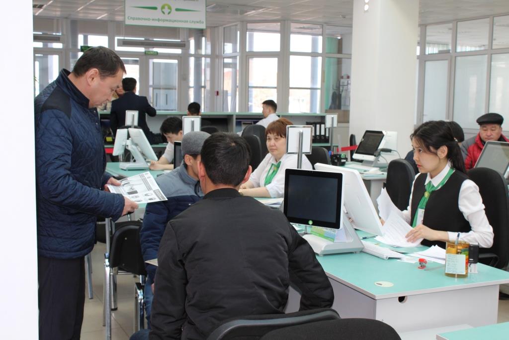 Шымкенттегі мамандандырылған ХҚО-да 330 мың қызмет көрсетілді