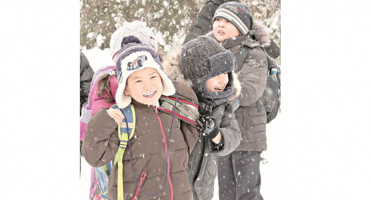 Порно жопа большие жопы