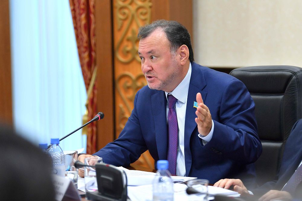 Д.Назарбаева: Электр энергетикасын басқарудағы қателіктер әр отбасына шығын болып отыр