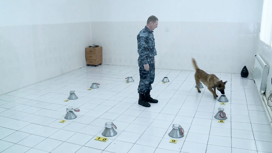 Маңғыстауда жыл басынан бері  есірткіге қатысты 70 қылмыс анықталды