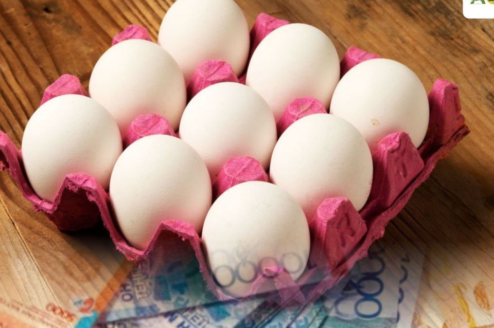 АШМ жұмыртқа өндіруді субсидиялауға байланысты түсініктеме берді