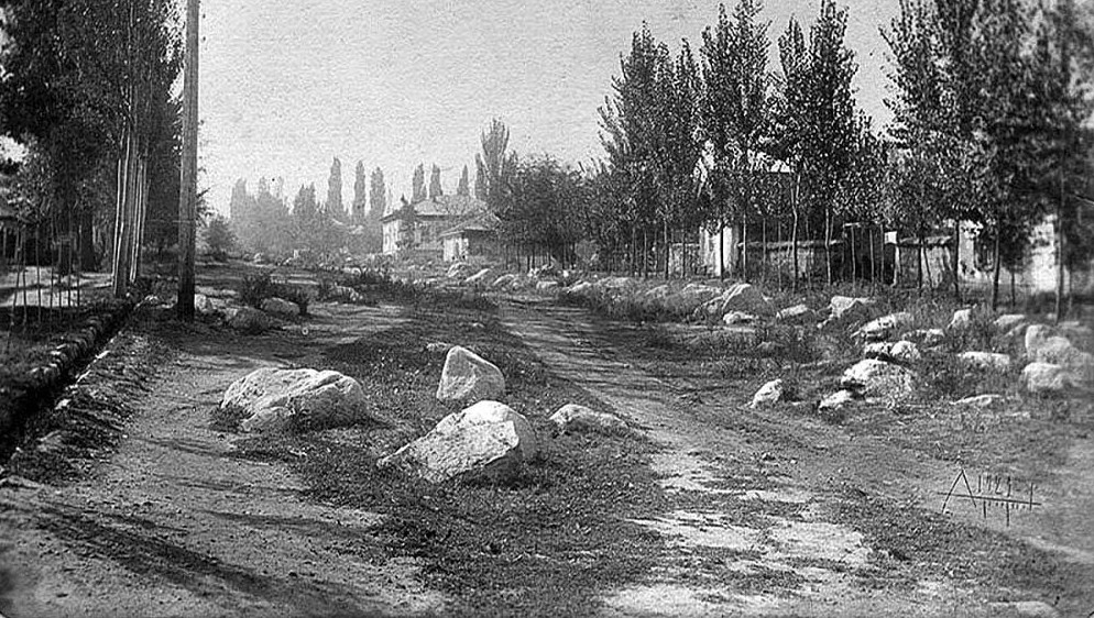 Алматы, 1921 жыл, 8 маусым