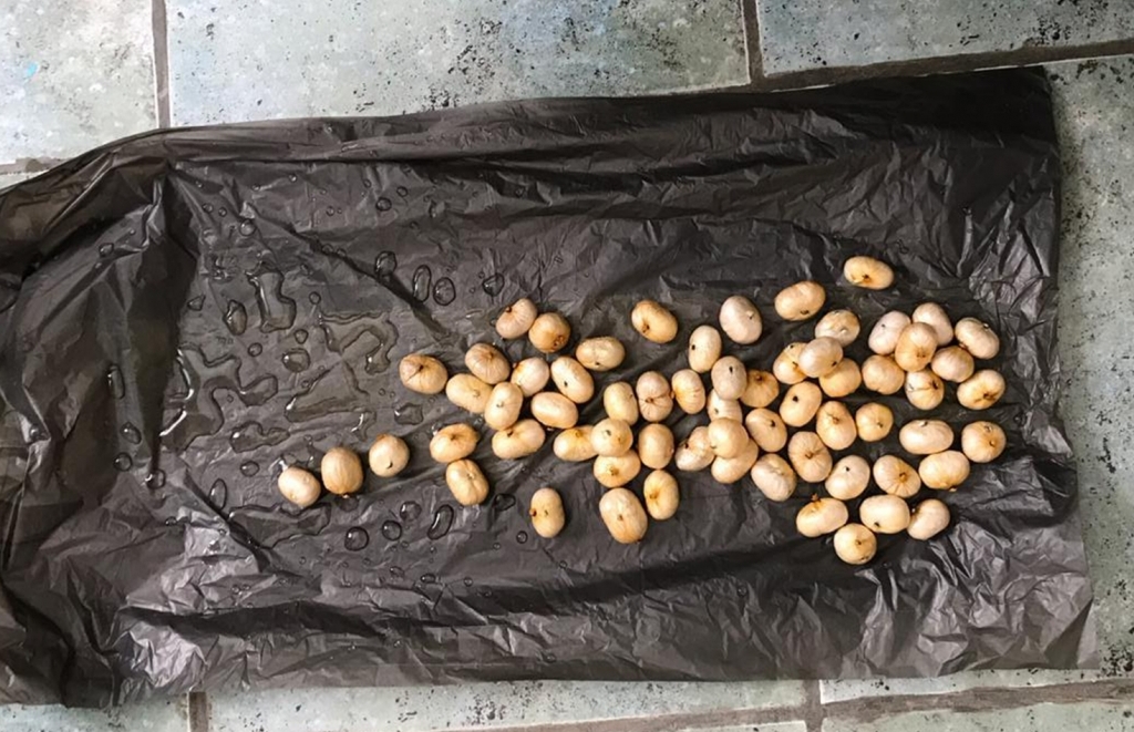 Ақтау әуежайында ірі мөлшерде героин тасымалдағандар ұсталды