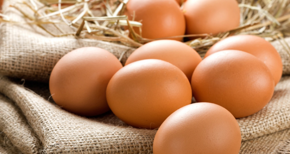 Жұмыртқаның экспортын көбейтіп көрсету кімге тиімді?