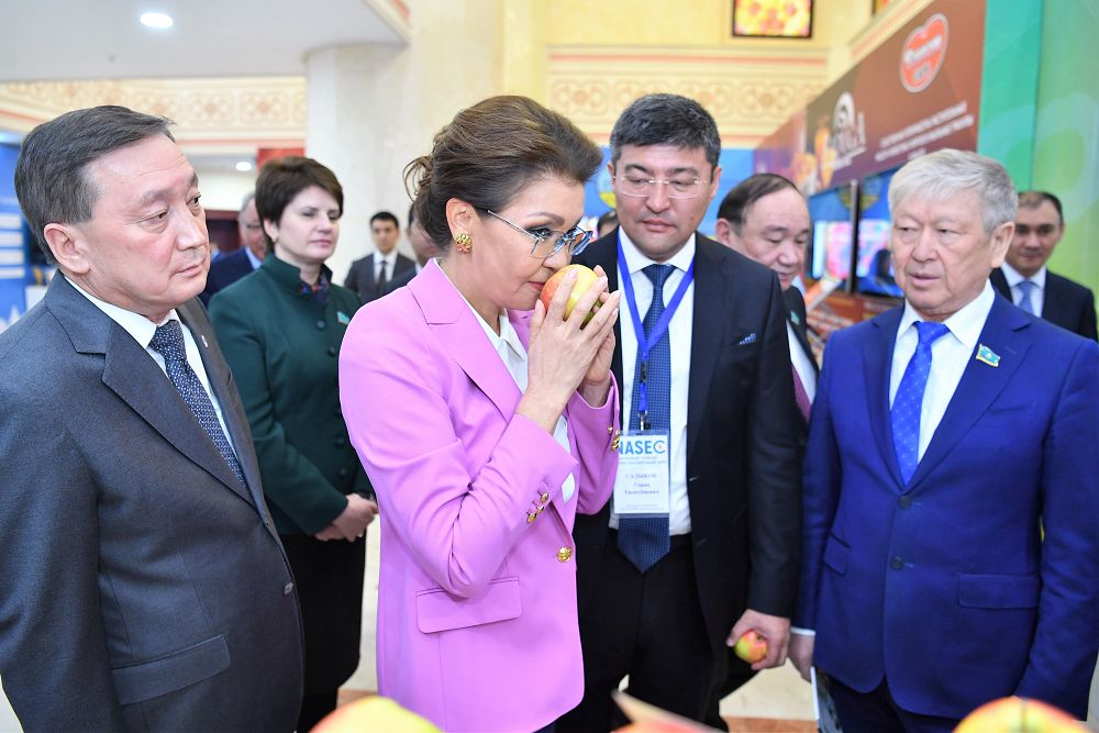 Дариға Назарбаева: Ауыл – біздің ұлттық болмысымыз