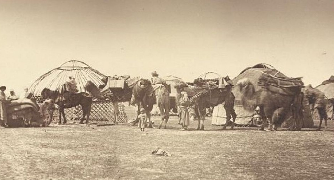 Сексуалды семіз ханымдар