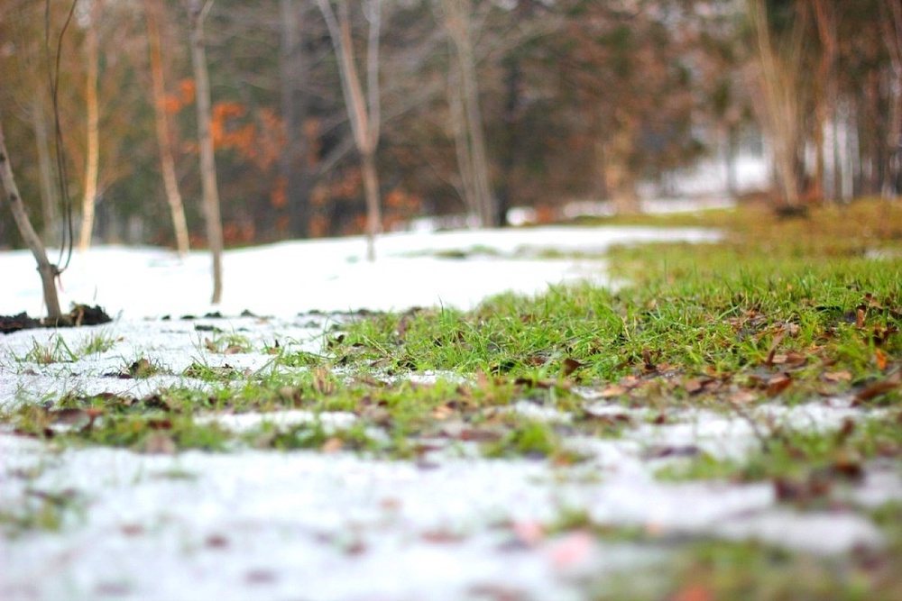 2 наурызда Қазақстанның басым бөлігінде күн ашық болады