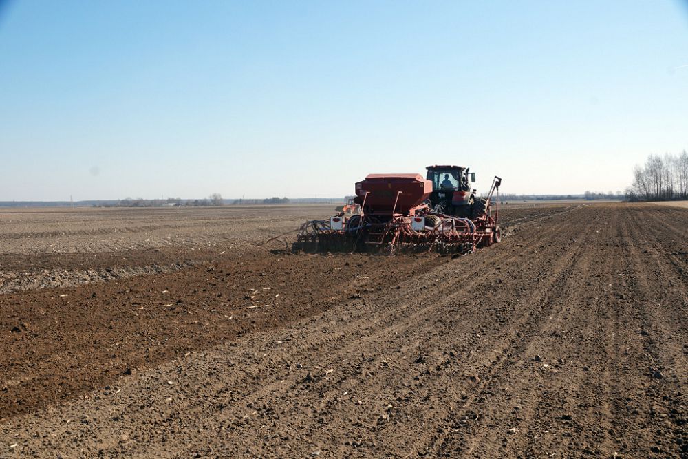 Диқанның көңілі далада