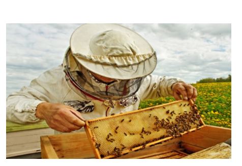 Бал өндіріп, бақуатты бол!