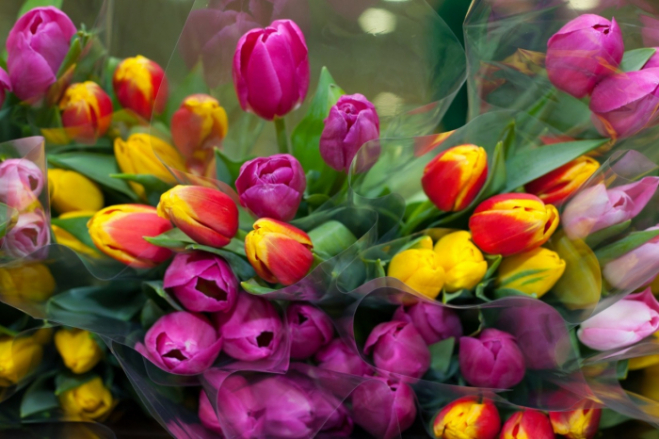 Маңғыстау өнерпаздары қыз-келіншектер мерекесіне арнап концерт өткізді