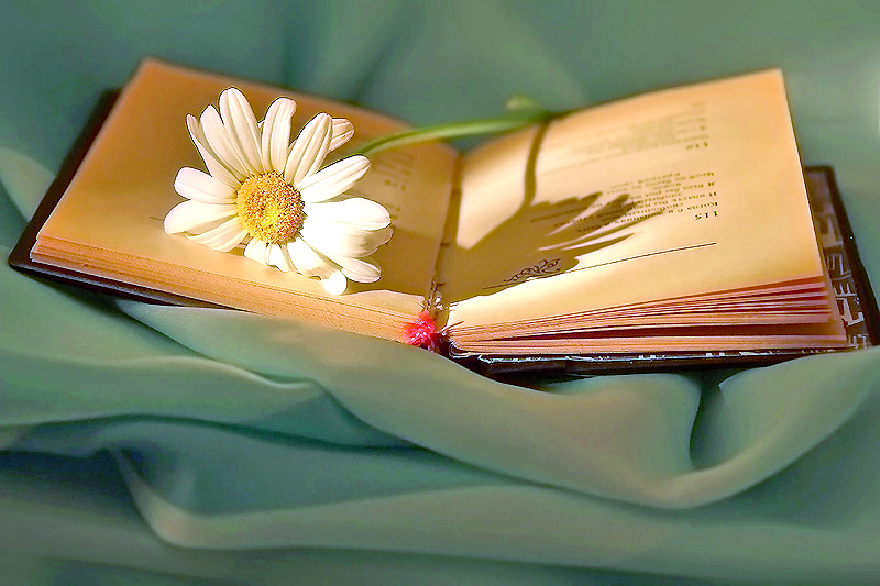 Қандай қызық көктемменен кездескен...