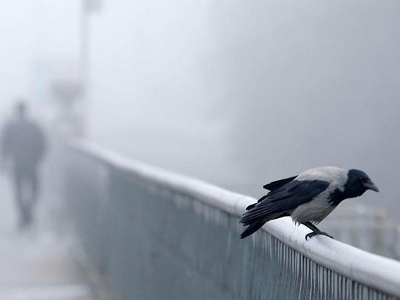 Бұрқасын, жел, тұман: Үш облыста ескерту жарияланды