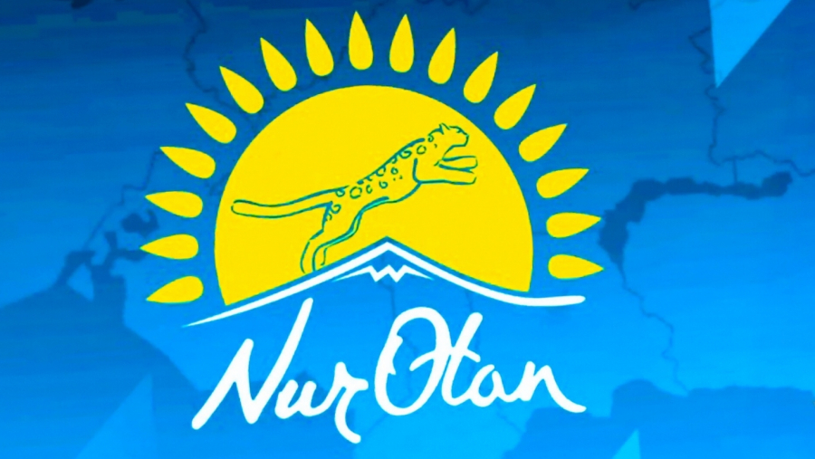 Nur Otan көпбалалы отбасыларға көмек көрсету үшін 150 млн теңге бағыттады