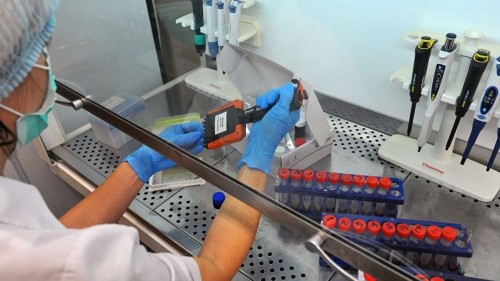Қарағанды облысына коронавирусты анықтайтын экспресс-тестілер жеткізіледі