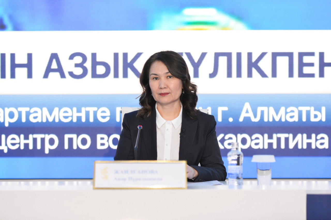 80%-дан астам мемлекеттік қызметті электронды түрде алуға болады - Анар Жайылғанова