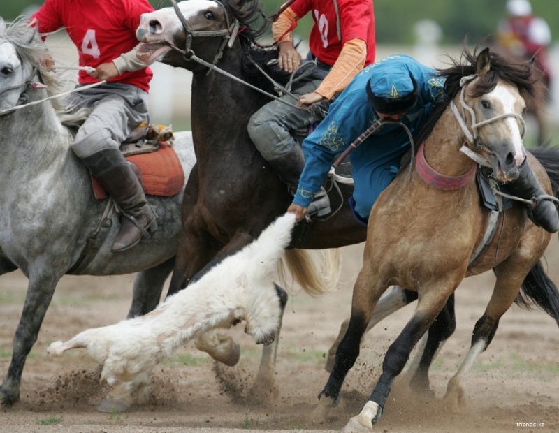 Шамалған ауылында төтенше жағдай кезінде көкпар ұйымдастырғандар жауапқа тартылды