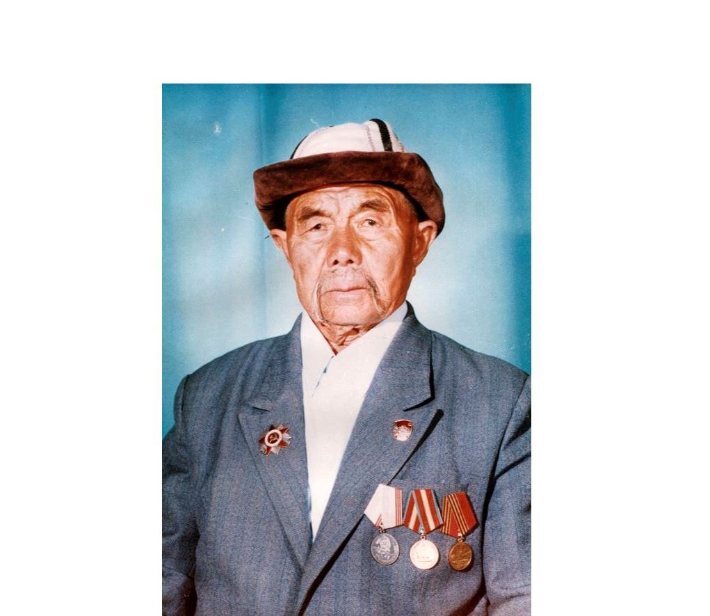 Жүз жастағы майдангер